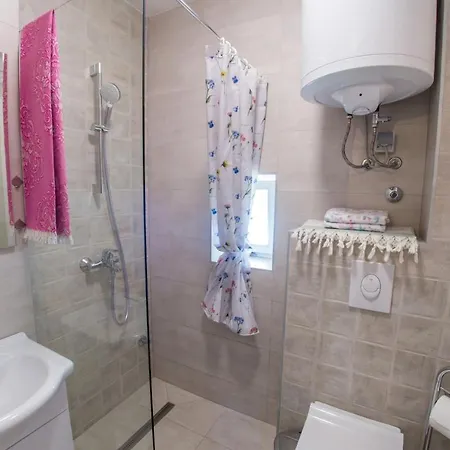Rosa Vila Ravno